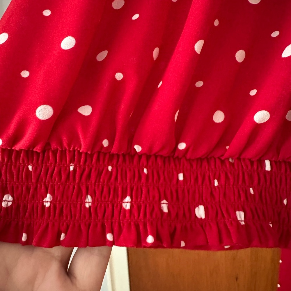 The Limited Scarlet Sheer Blouse with Ivory Polka Dots and Front Tie - Picture 8 of 8